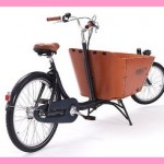 Een neger op een bakfiets