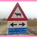 Mooie poes
