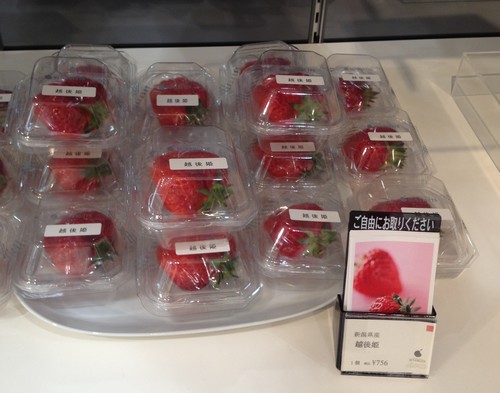 Zelfs fruit wordt hier ingepakt als een cadeautje. De aardbeien zijn los te koop, in een mooi doosje!