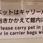 Big in Japan Plog 4 Een hondenleven