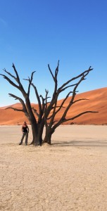 Deathvlei, nabij Sossus