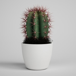 Zet het met bloemen! ($10,99)