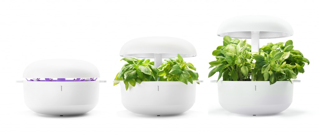 plantui