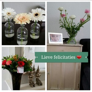 ingwerk2